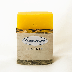 Larissa Bright Tea Tree Soap
